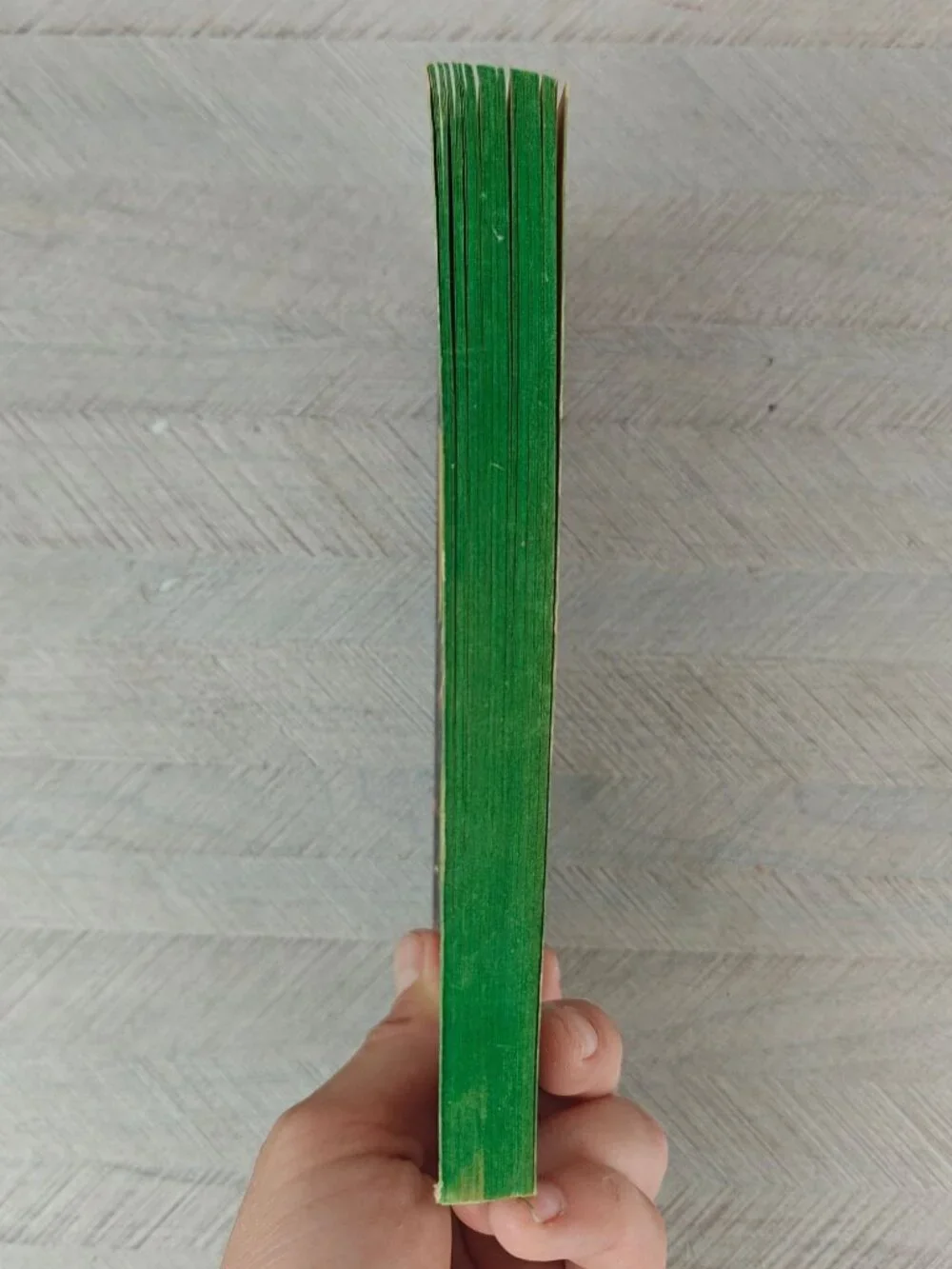 Dragons And Nightmares Robert Bloch Paperback 1969 Vintage Fantasy Horror